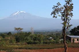 Fire breaks out on Mount Kilimanjaro, says Tanzania National Park 