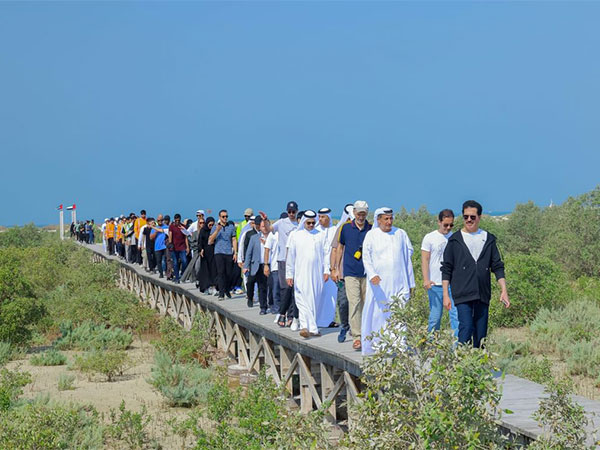 DEWA Leads Mangrove Plantation Drive at Jebel Ali Marine Sanctuary