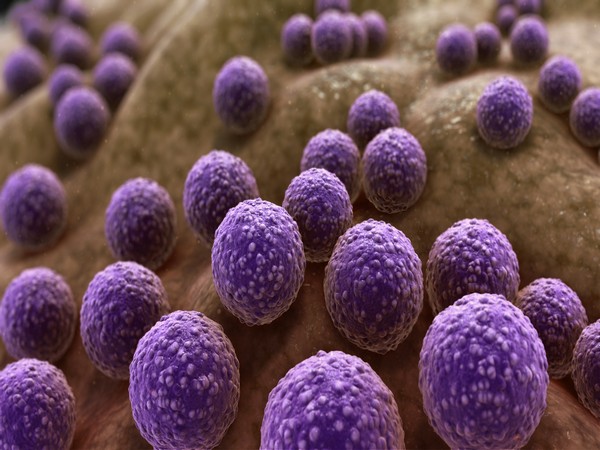 Health News Roundup: Drug-resistant staph in households; US life expectancy declining and more