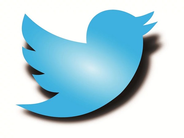 Twitter representatives appear before parliamentary panel examining cyber security of women