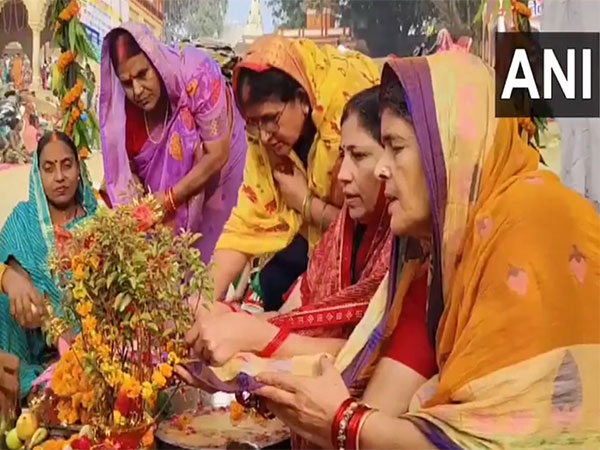 Devotees Celebrate Tulsi Vivah: A Sacred Union and Auspicious Beginning