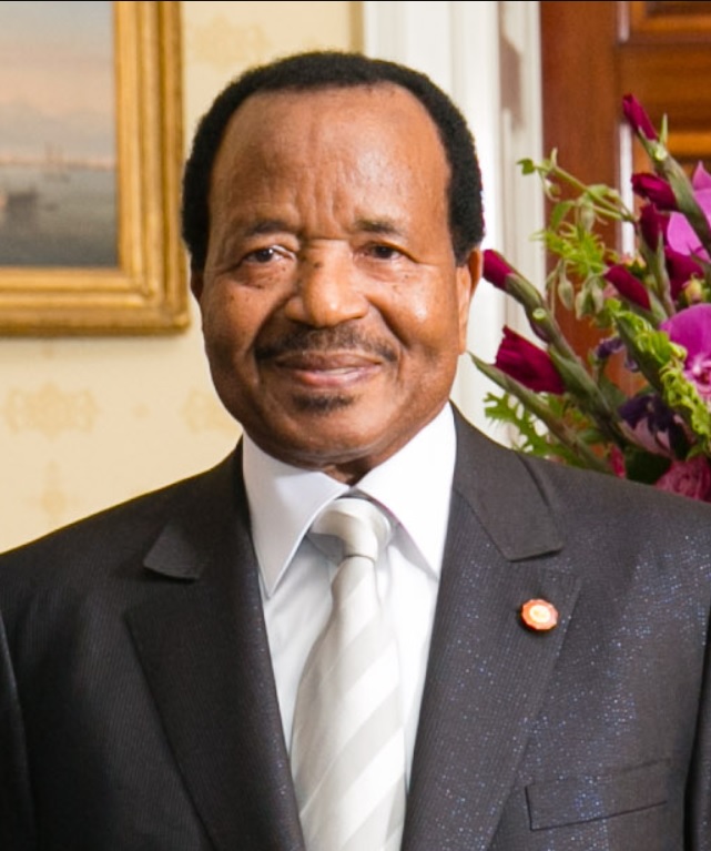 Cameroon president says dropping prosecution against 'some' political rivals