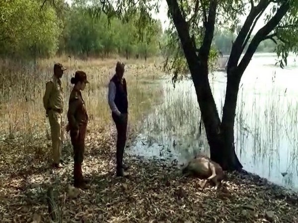 Three deers found dead in West Bengal's Banpukhuria Deer Park