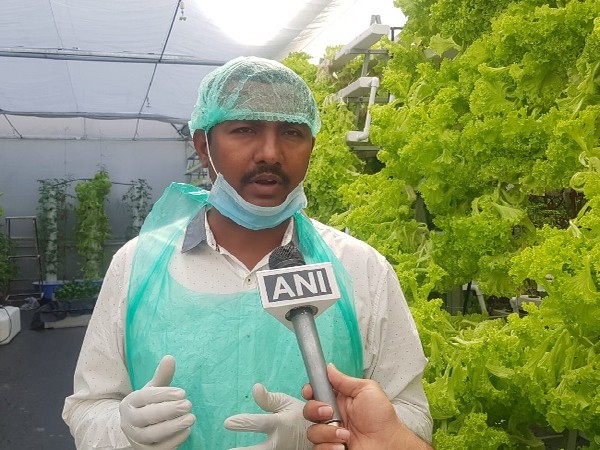Hyderabad couple grows vegetables without using soil