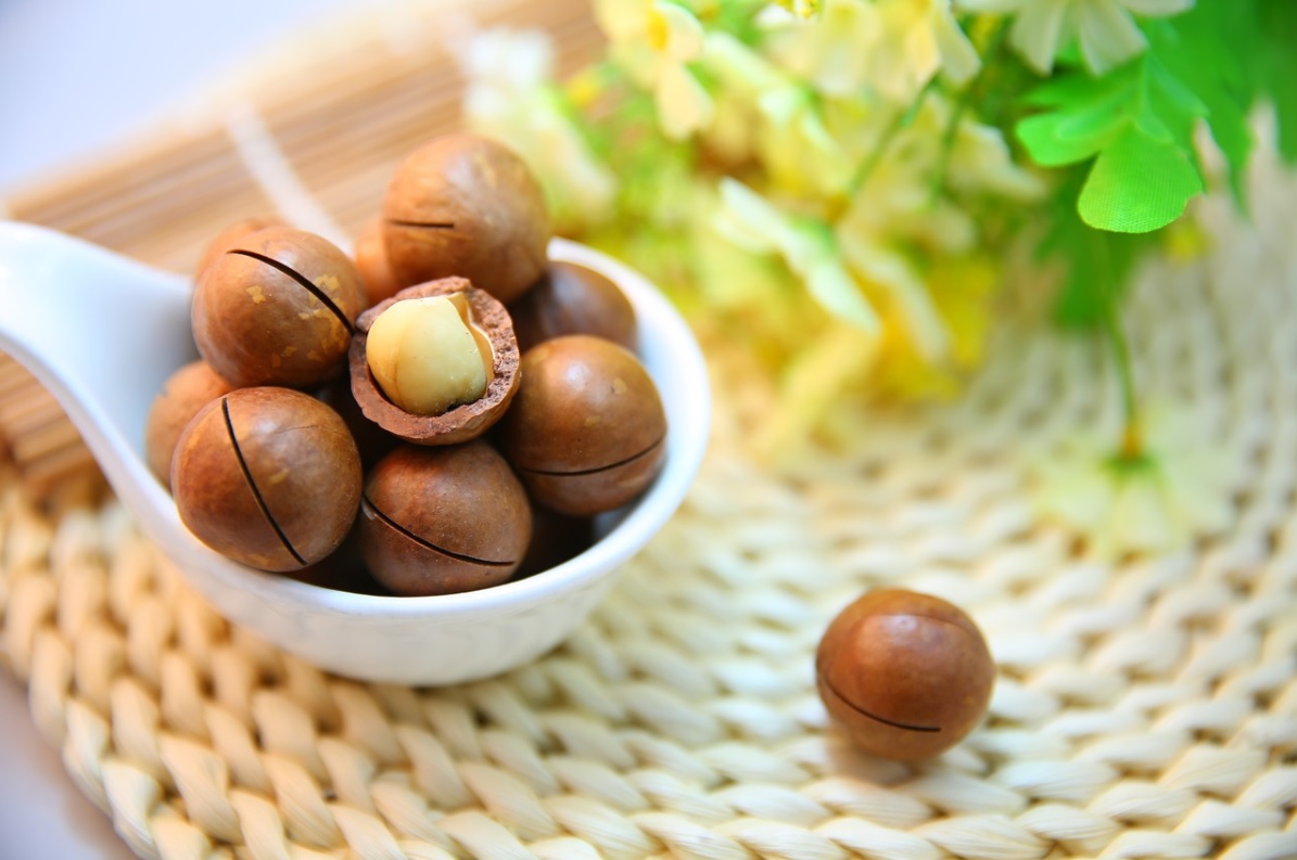 Rwanda govt encourages farmers to boost macadamia nuts farming despite price-rise