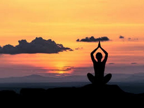 Houstonians celebrate International Yoga Day with Sun salutation, breathing exercises