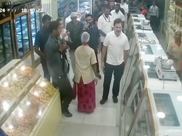 TN: Taking a break from poll campaign, Rahul visits sweet shop, purchases Mysore Pak for CM Stalin