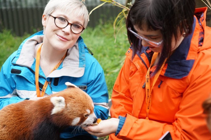 Zealandia and Wellington Zoo opening to locals for just $2 on May 18-19