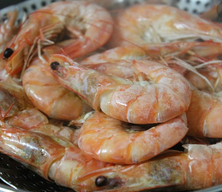 Shrimp exporters follow robust regulatory, safety regime; aim exports worth Rs 1 lakh cr: Official
