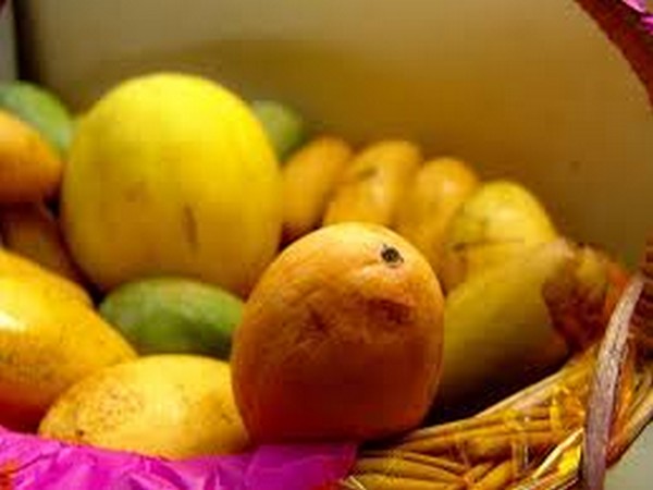 Karnataka's first Kisan special train leaves for Delhi with 250 MT of mangoes
