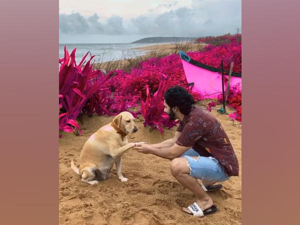 Varun Dhawan treats fans to adorable boomerang with furry friend