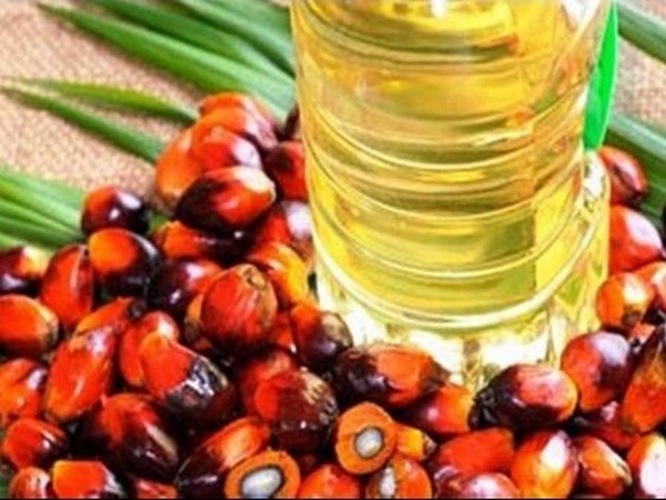 Resume futures trading in crude palm and soybean oil: Industry body to SEBI