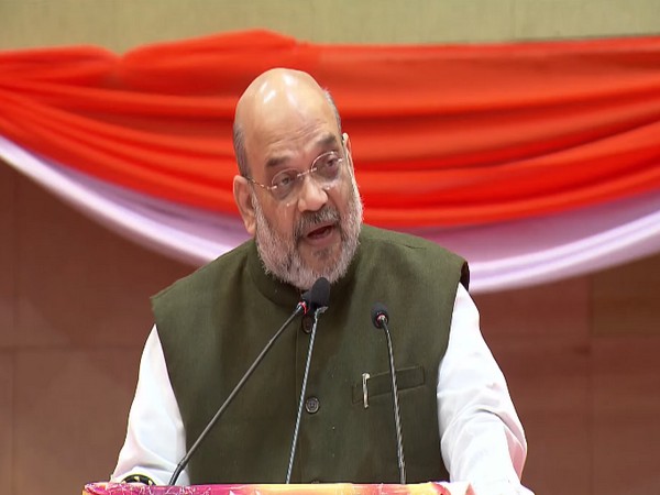 Country will progress if we use our 'Rajbasha', says Amit Shah 