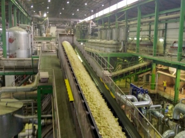 Govt comes out with guidelines for ethanol production from sugar, grain-based feedstock