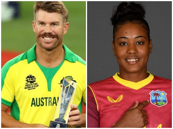 David Warner, Hayley Matthews named ICC Players of the Month for November