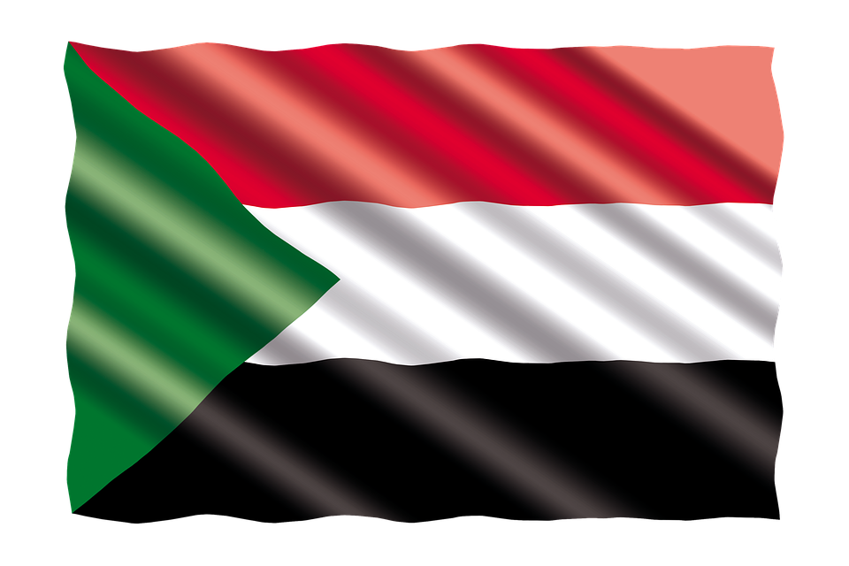 Sudanese factions agree a constitutional declaration to wave in transitional government - African Union mediator