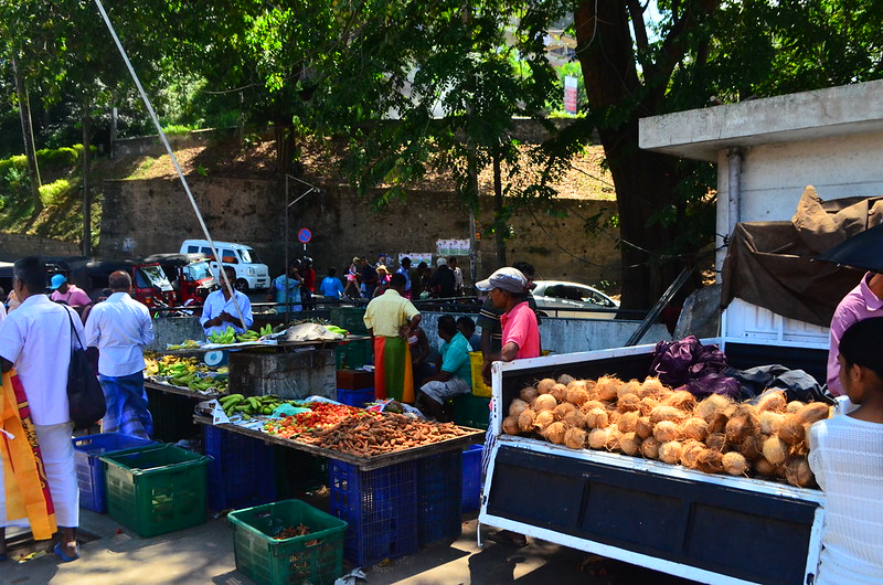 Manmade food crisis in Sri Lanka red flag for abrupt pivot to organic farming 