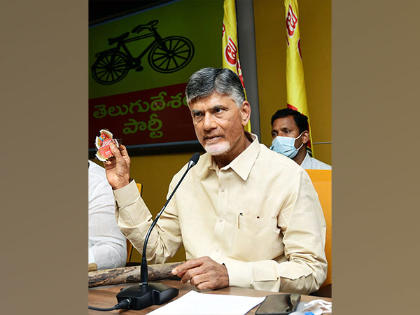 Andhra Pradesh: TDP chief burns copy of Govt Order restricting political rallies