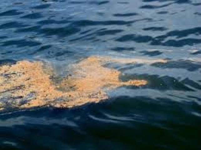 Oil spill reaches shoreline in eastern Thailand