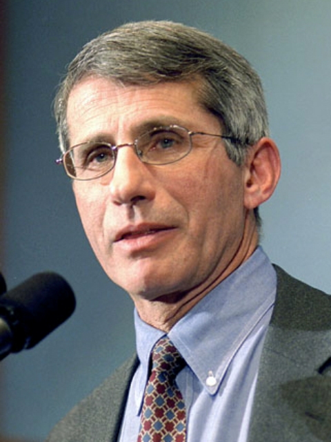 Fauci says coronavirus could claim up to 200,000 US lives