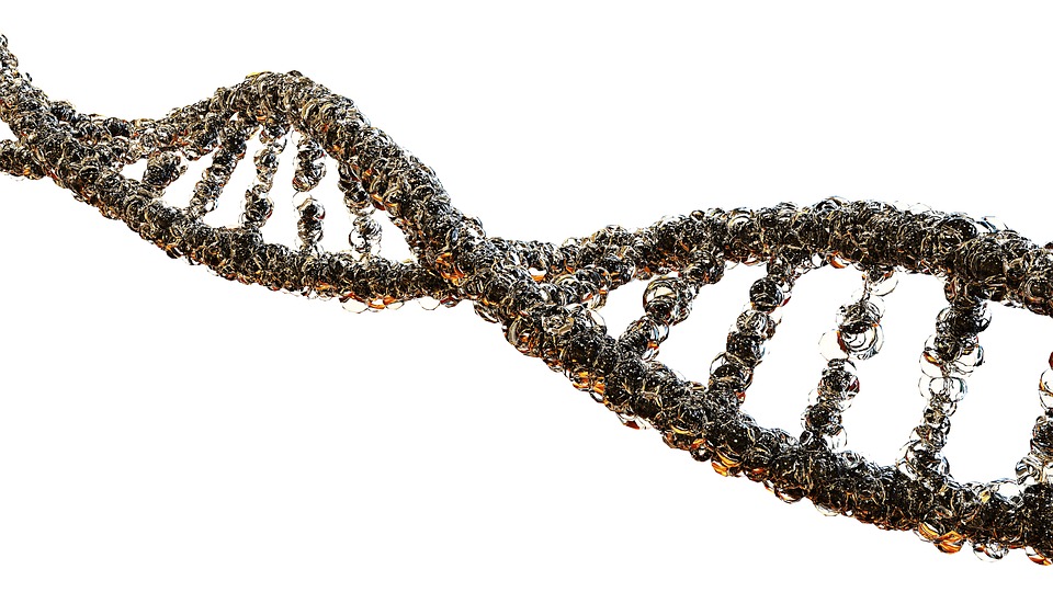 Science News Roundup: No 'gay gene', but study finds genetic links to sexual behavior