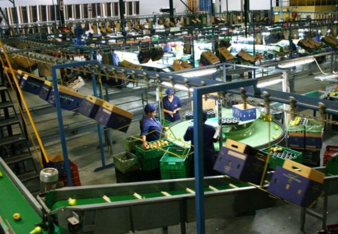 Job working powerloom units request govt to allow them operate