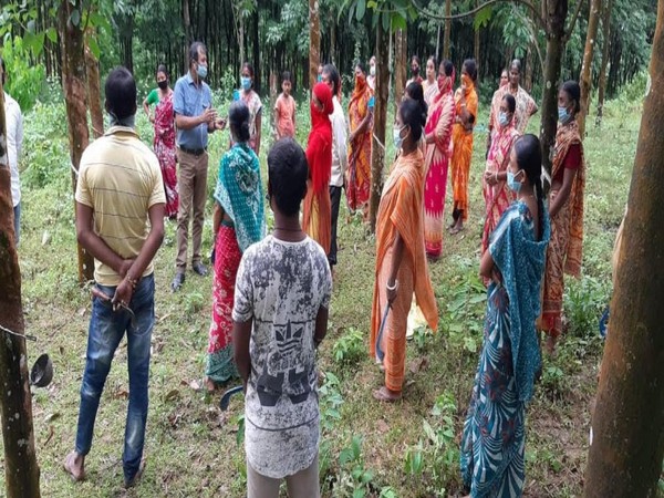 DS enhances skills of the rubber tappers of Tripura for a sustainable livelihood