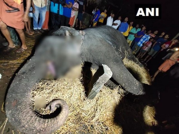 Guruvayur temple elephant dies at 84