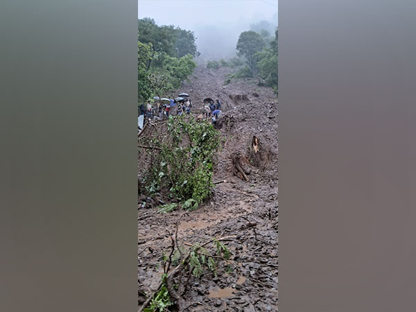 29 killed in Himachal Pradesh rains, nine of them in Shimla landslides