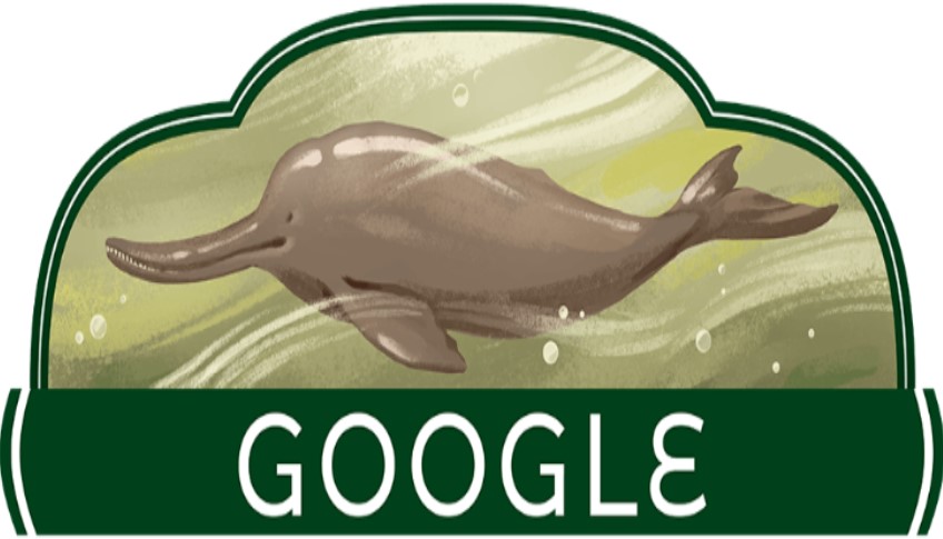Google Doodle Honors Pakistan Independence Day 2023 with Indus River Dolphin Images