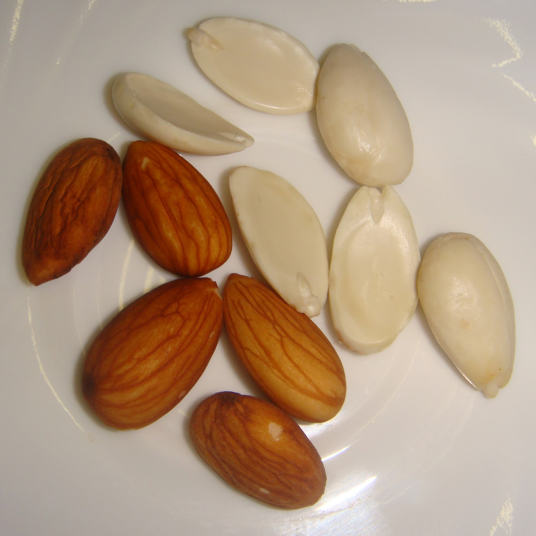 US promoting almonds as healthy snack in a bid increase exports