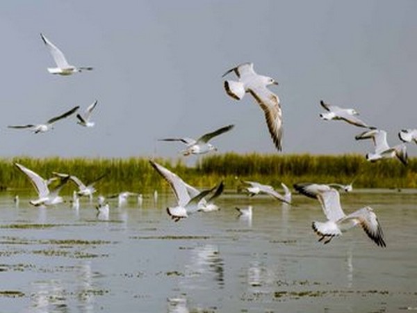 Okhla Bird Sanctuary set to open from tomorrow