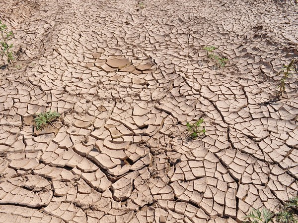 China's drought threatens raise in carbon taxes