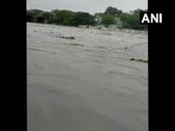 Heavy rains kill 12 in Telangana