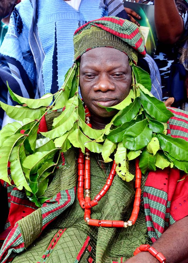 Nigerian City Celebrates Its Many Twins With Annual Festival Technology