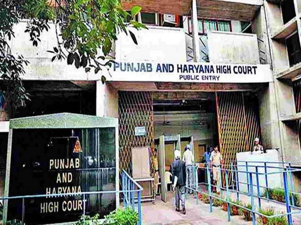 Punjab and Haryana High Court Clears Path for October 15 Panchayat Polls