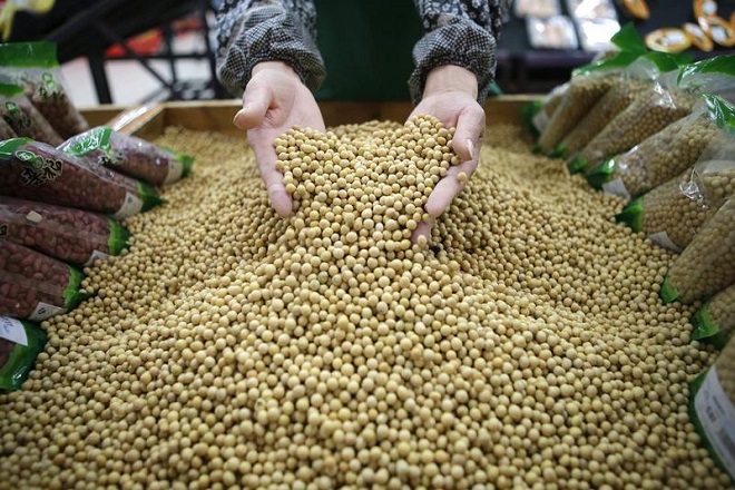 US farmers finding new markets after losing biggest customer, China to global trade war 