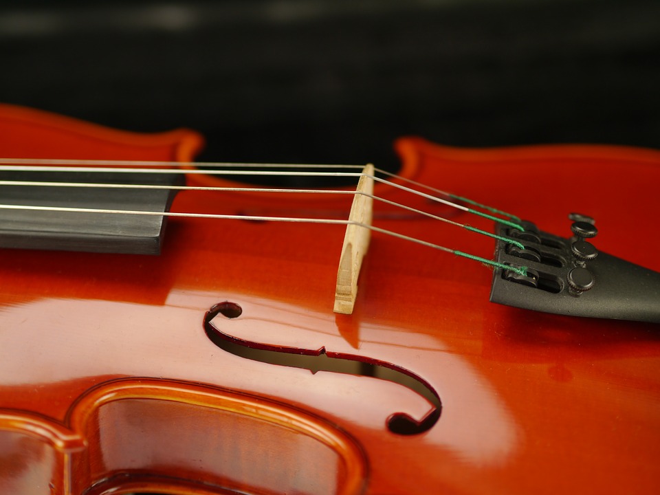 Patient plays violin to save her music as surgeons remove brain tumor