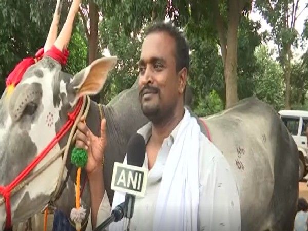 Rare Hallikar breed bull becomes main attraction at Krishi Mela in Bengaluru 