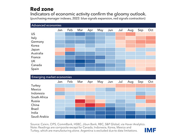 Global economic growth outlook "gloomier", says IMF ahead of G20 summit