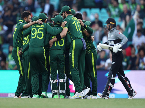 Cricket-Imran, Sharif shower praise on 'brave' Pakistan after World Cup heartbreak