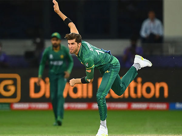 Shaheen Afridi unlikely to play home Tests against England, New Zealand after knee injury resurfaces