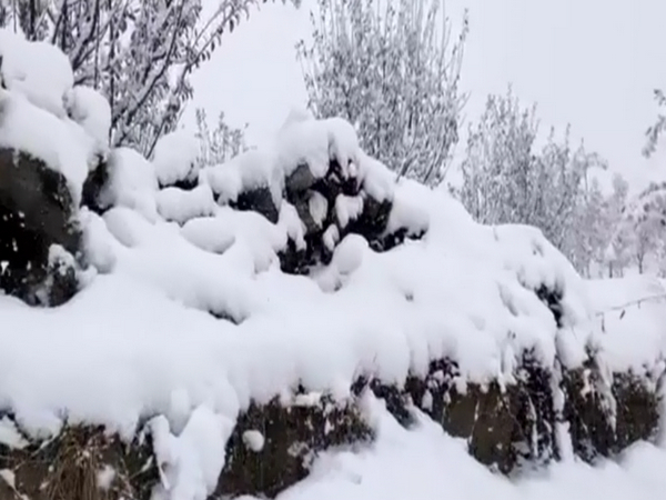 Himachal Pradesh receives fresh round of snowfall: IMD
