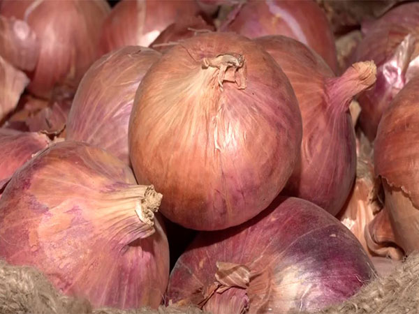 Rising Onion Prices Strain India’s Inflation Amid Vegetable Price Dip