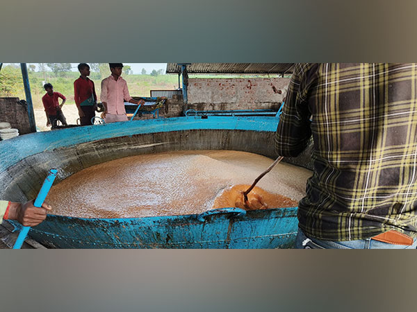 The Sweet Struggle: Kolhapur's Jaggery Industry Battles for Survival