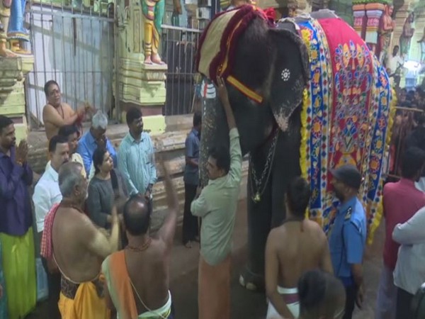 TN: Temple elephant Ramalakshmi leaves for 48-day rejuvenation camp in Theppakkadu