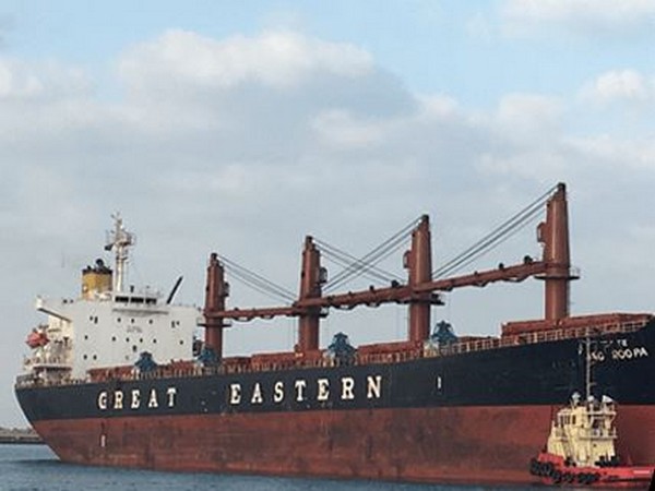 Russian freight ship sinks off Turkey's Black Sea coast - governor