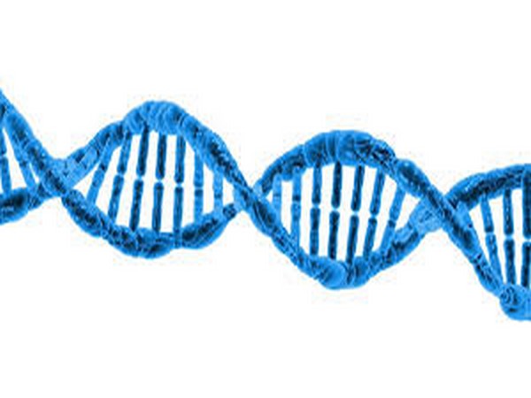 Bioengineers opening up DNA to delete disease: Study