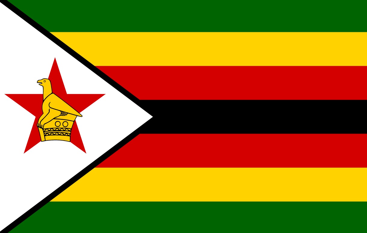 Zimbabwe to hold general election on Aug. 23