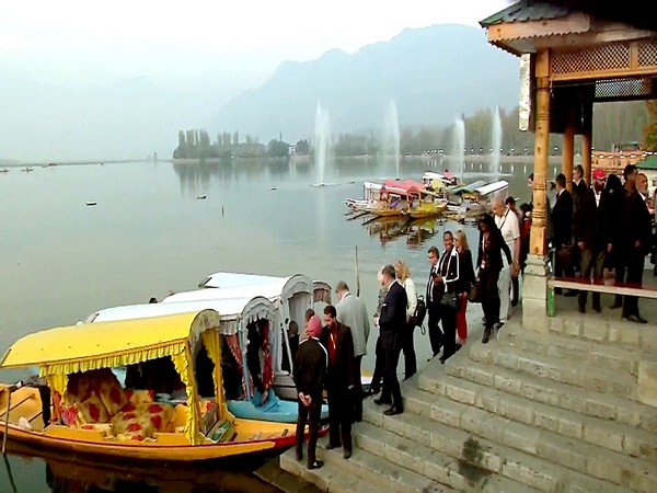 Kashmir to host 6-day festival to celebrate arrival of spring, promote tourism